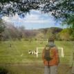 Brackenridge Park - Andrew Green Architecture
